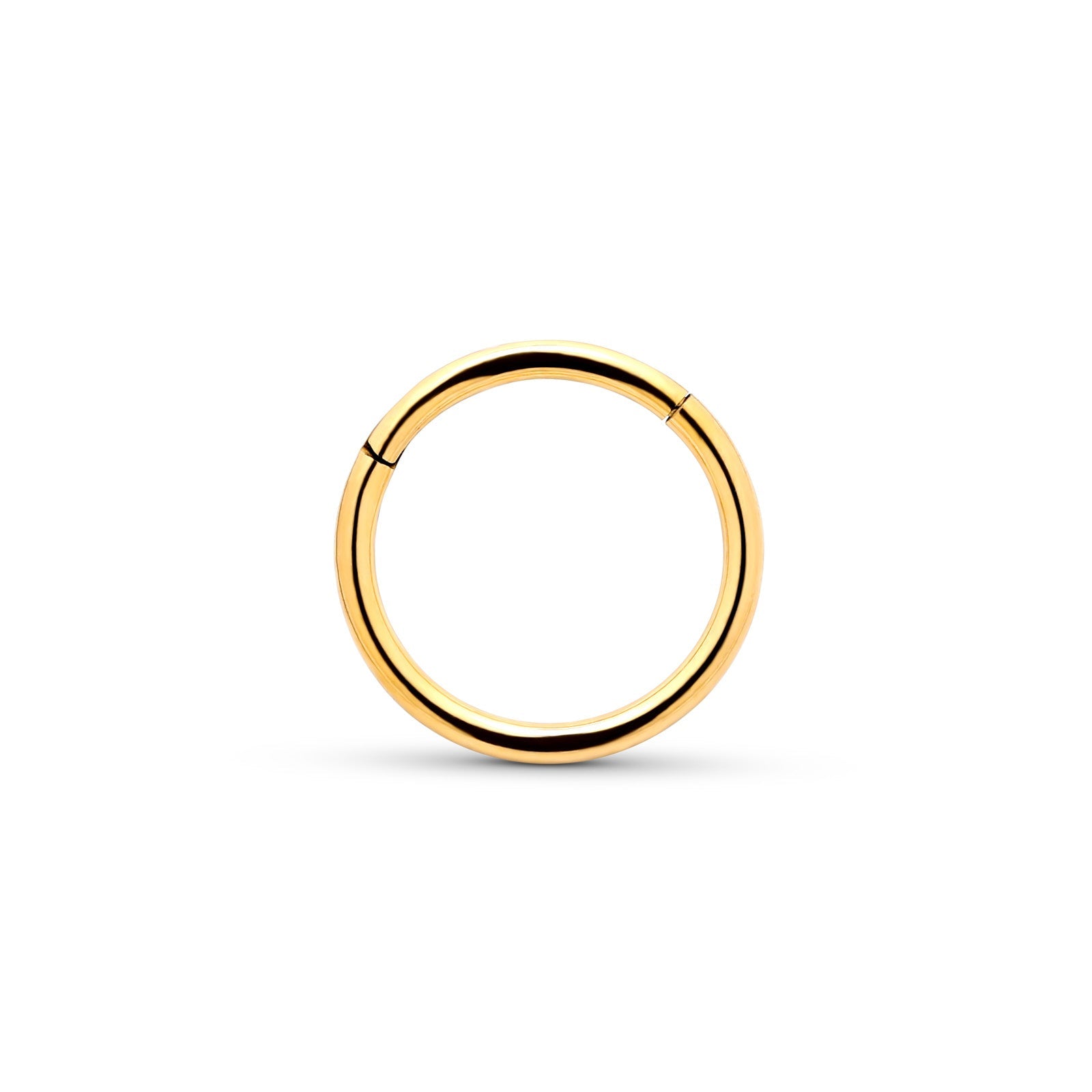 Trident 24kt Gold PVD Titanium Hinged Segment Ring