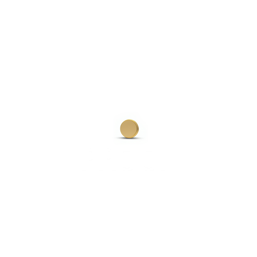 Trident 24kt Gold PVD Titanium Internally Threaded Disk Attachment