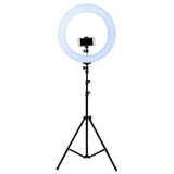 LED Circular Light With Stand And Kit