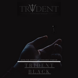 Trident Black PVD Titanium Hinged Segment Ring