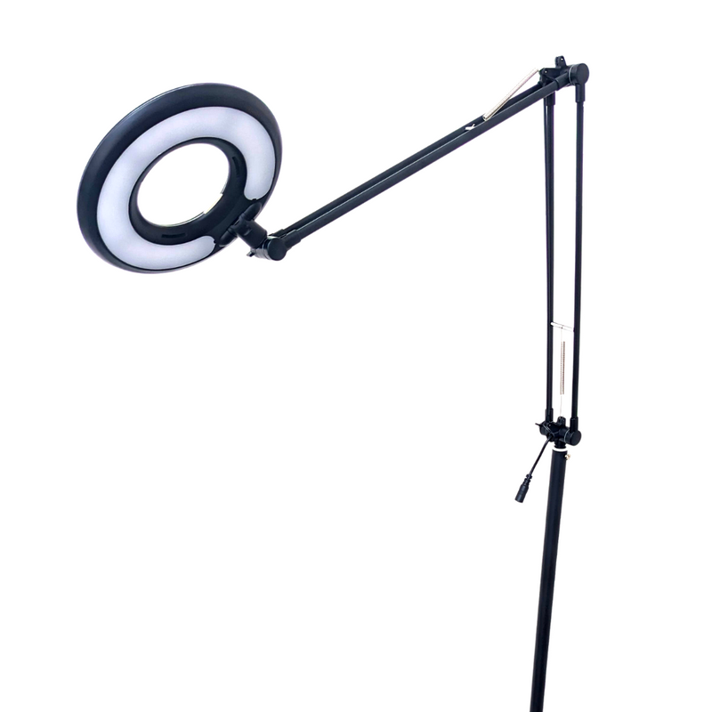 Led circle hot sale floor lamp
