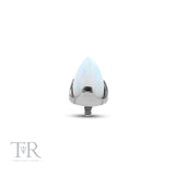 Trident Titanium Cone