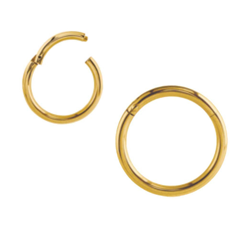Gold PVD Hinged Segment Ring