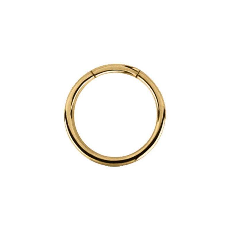 Gold PVD Segment Ring