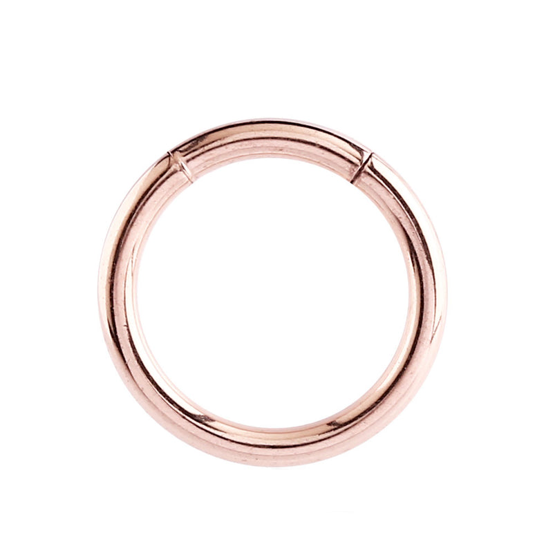 Rose Gold Segment Ring