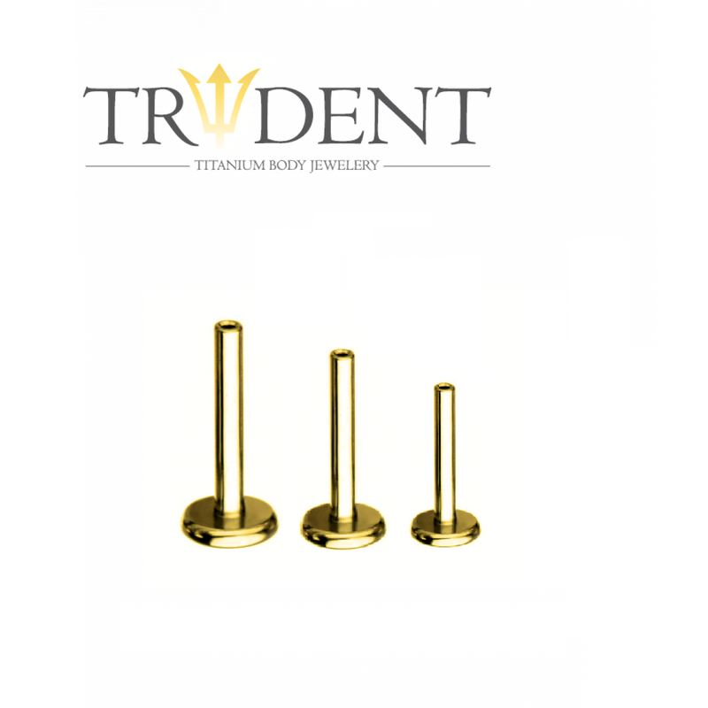 Trident Threadless Labret Post Anodised Gold