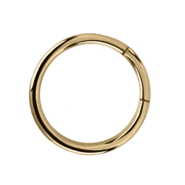 Zircon Gold Segment Ring